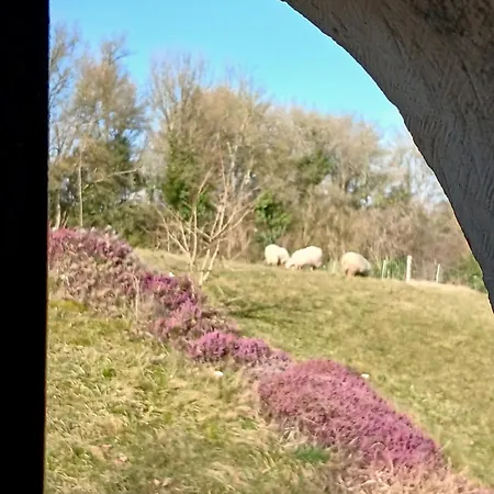 Lorette לינה וארוחת בוקר Le Veurdre