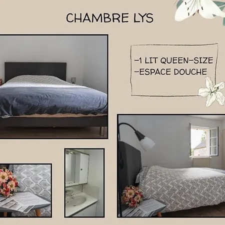 לינה וארוחת בוקר Lorette *