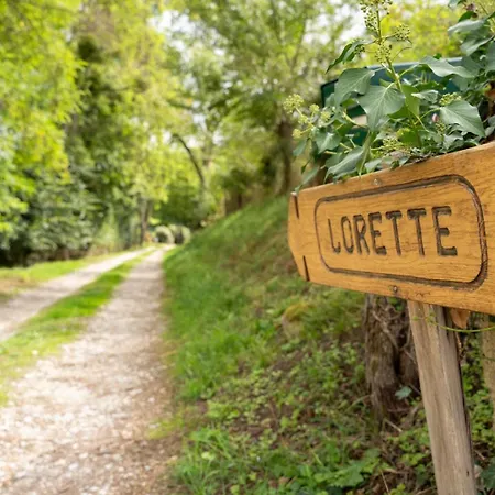 ベッド・アンド・ブレックファスト Lorette *